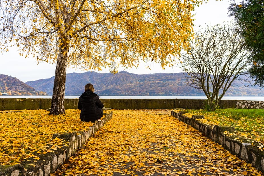 lasă - l în pace, se va întoarce dacă faci aceste 10 lucruri