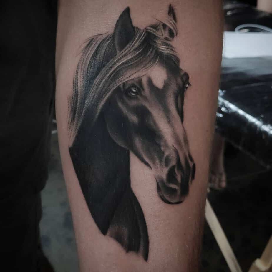 10. Cavallo realistico nero e grigio