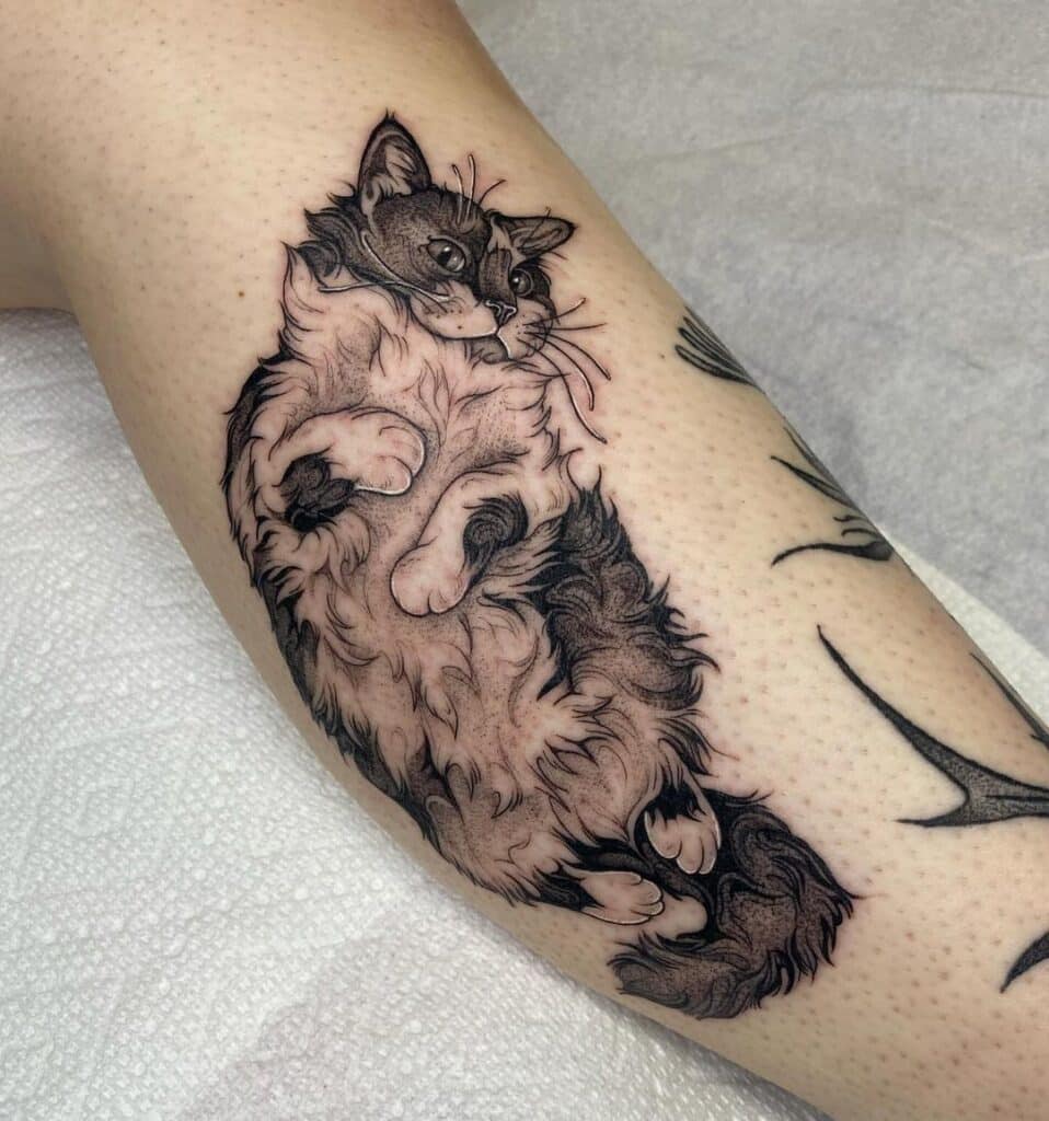 1. A cat tattoo