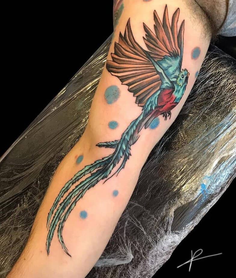 19. Flying quetzal