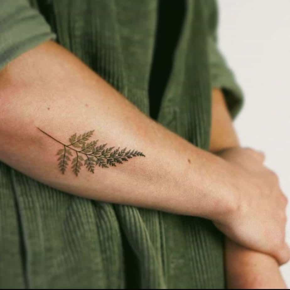 1. A realistic fern tattoo on the forearm