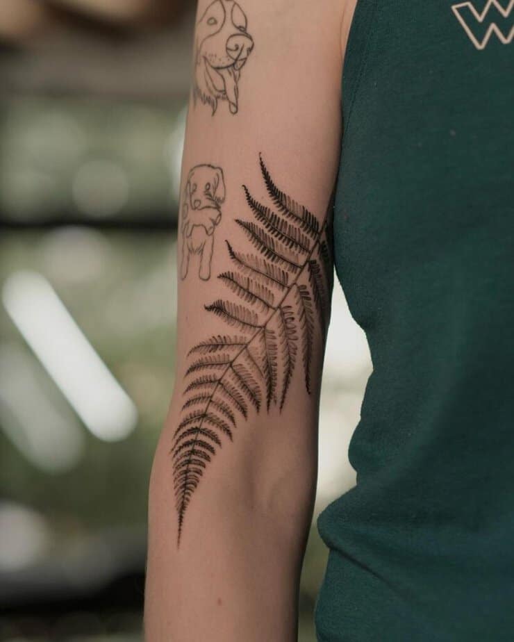 11. A fern tattoo on the inside of the arm