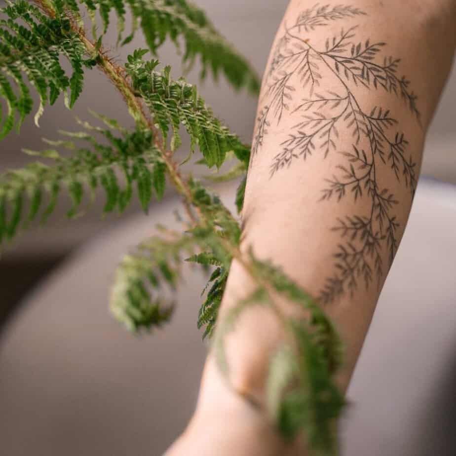 2. A wraparound fern tattoo on the forearm 