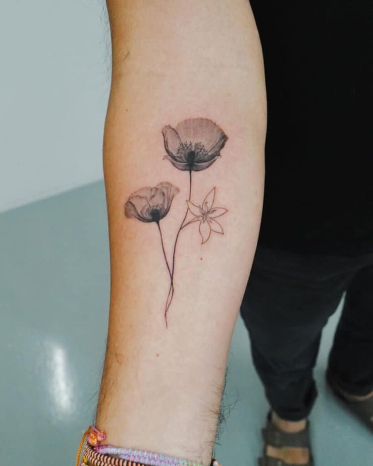 6. A poppy flower and a coffee flower