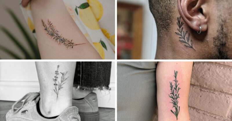 20 Rosemary Tattoos You Can Ink On Your Skin Forever