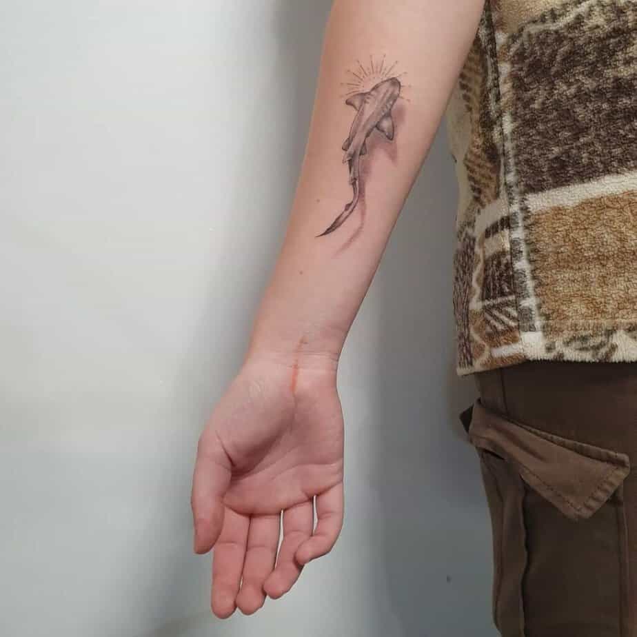 14. A nurse shark tattoo