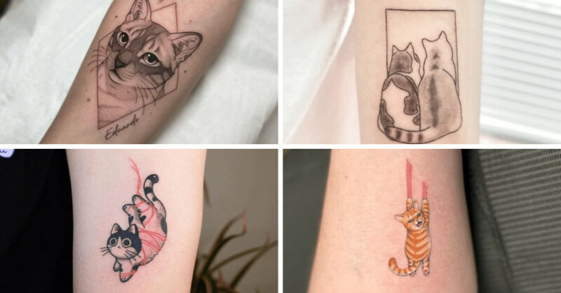 20 cat tattoo ideas to celebrate your furry friends