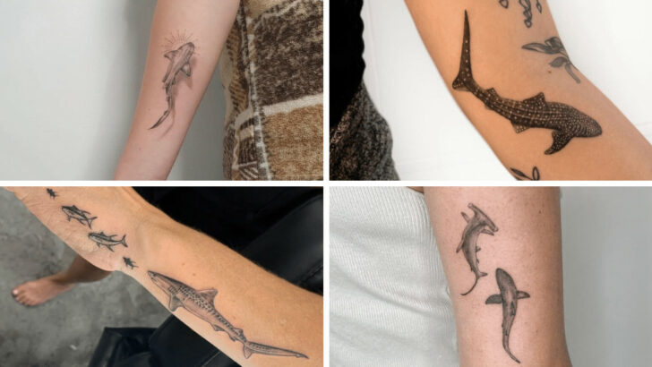 20 Sick Shark Tattoos To Sink Your Teeth Into