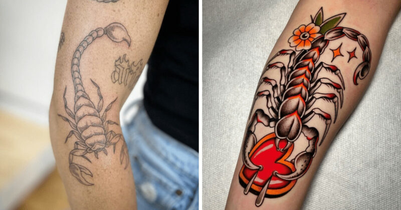 20 stinging elegant scorpion tattoo ideas for the fearless