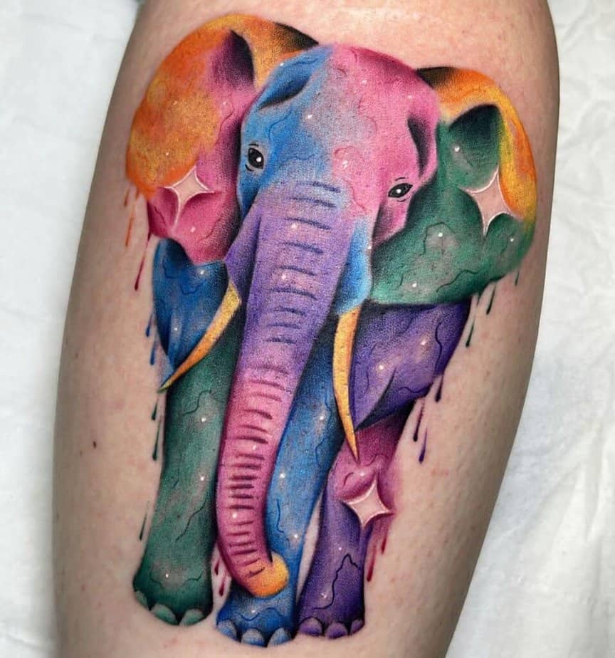 17. Elefante colorato
