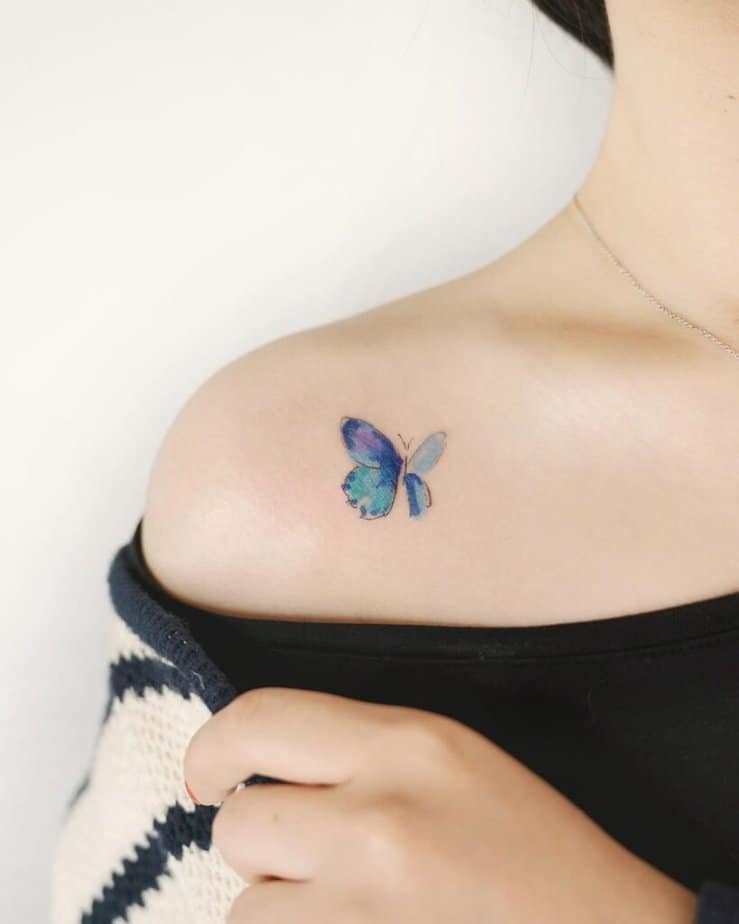 8. Piccola farfalla blu