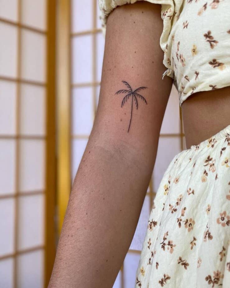 1. A fine-line palm tree tattoo