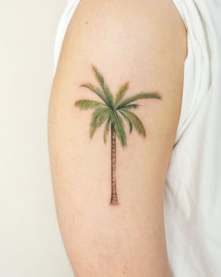 12. Un tatuaggio realistico con una palma
