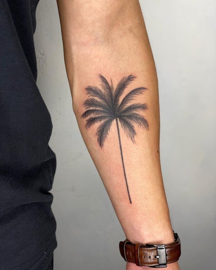 7. A classic palm tree tattoo on the forearm