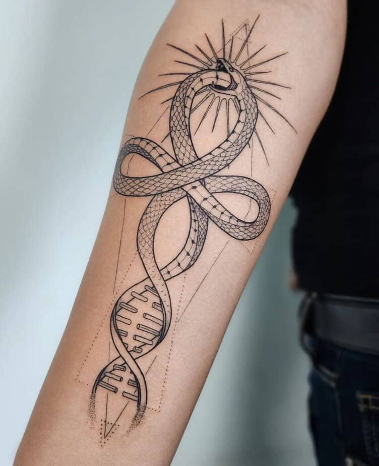 12. A DNA strand with a snake