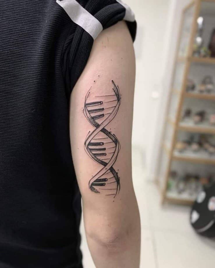 14. A DNA strand with piano keys