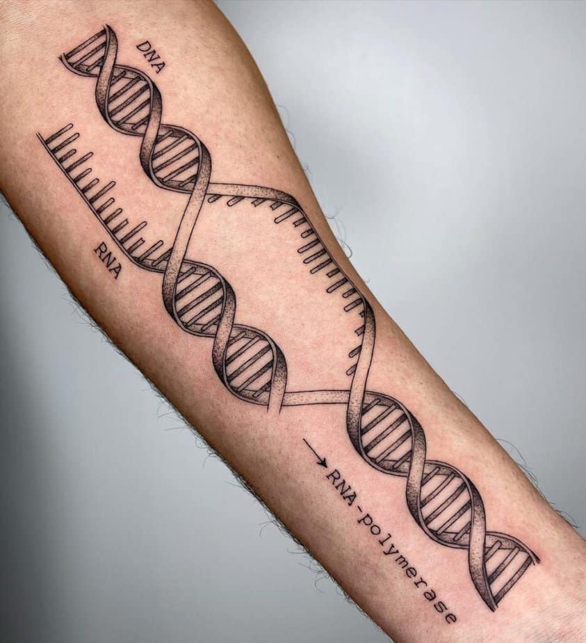 17. A DNA transcription tattoo