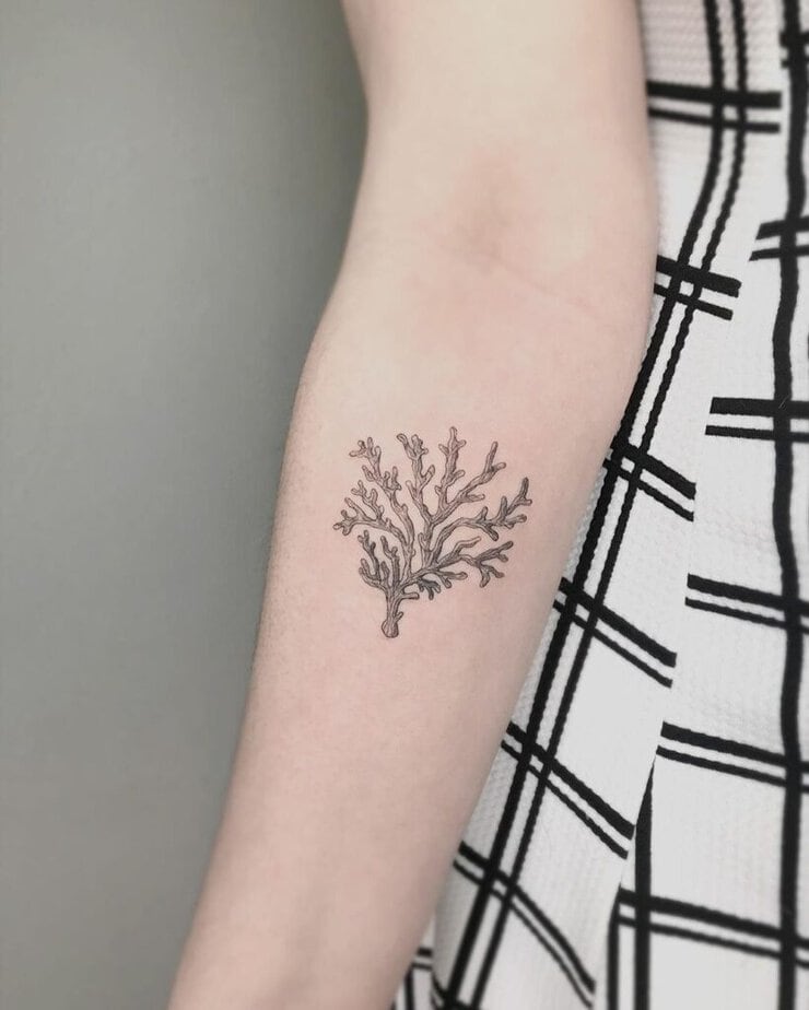 22. A coral tattoo 