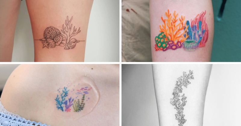 23 Immaculate Coral Tattoos For The Lovers Of The Deep Sea