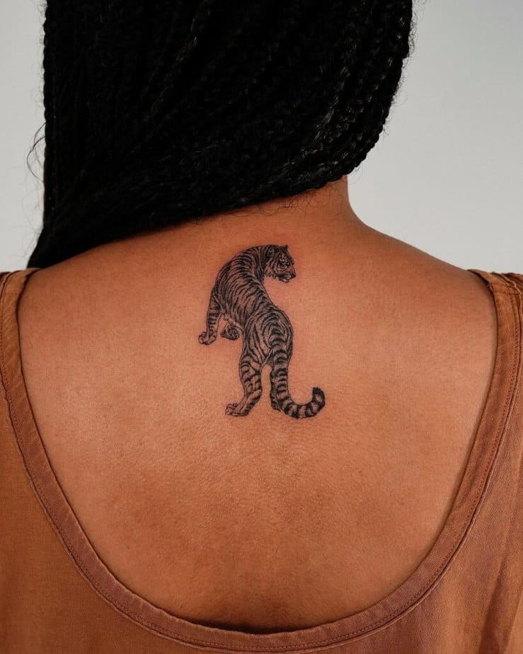 20. A tiger on the back of the neck