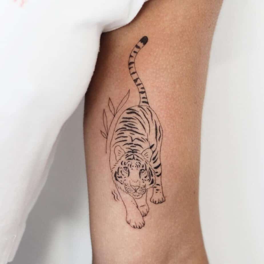 23. A linework tiger on the bicep