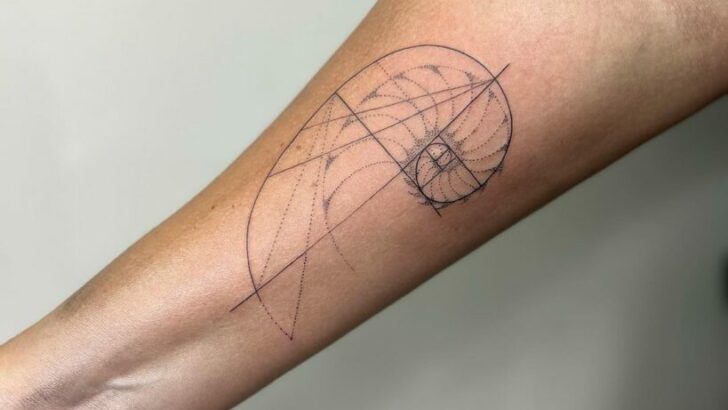 23 affascinanti tatuaggi di Fibonacci che colpiranno nel segno.