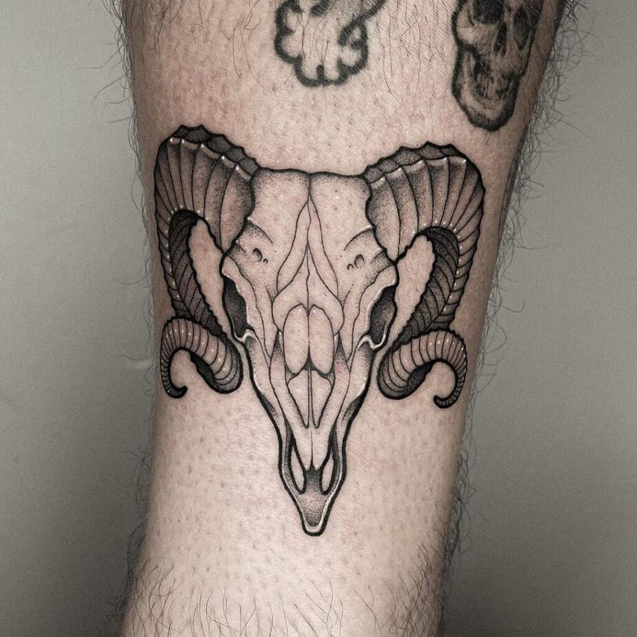 Animal skull tattoo