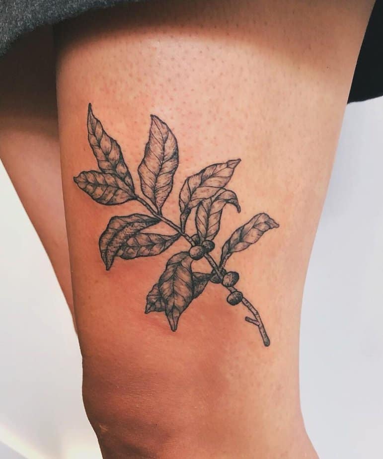 Coffee plant tattoo for any aesthetic on your legs