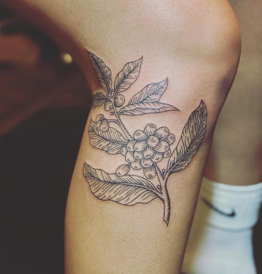Coffee plant tattoo for any aesthetic on your legs