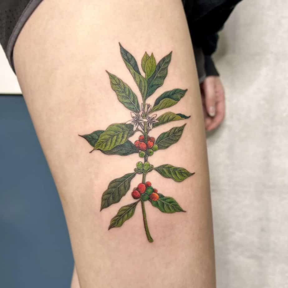 Colorful coffee plant tattoos