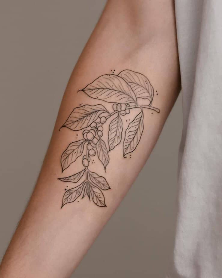 Simple and sleek coffee plant tattoo on your forearm