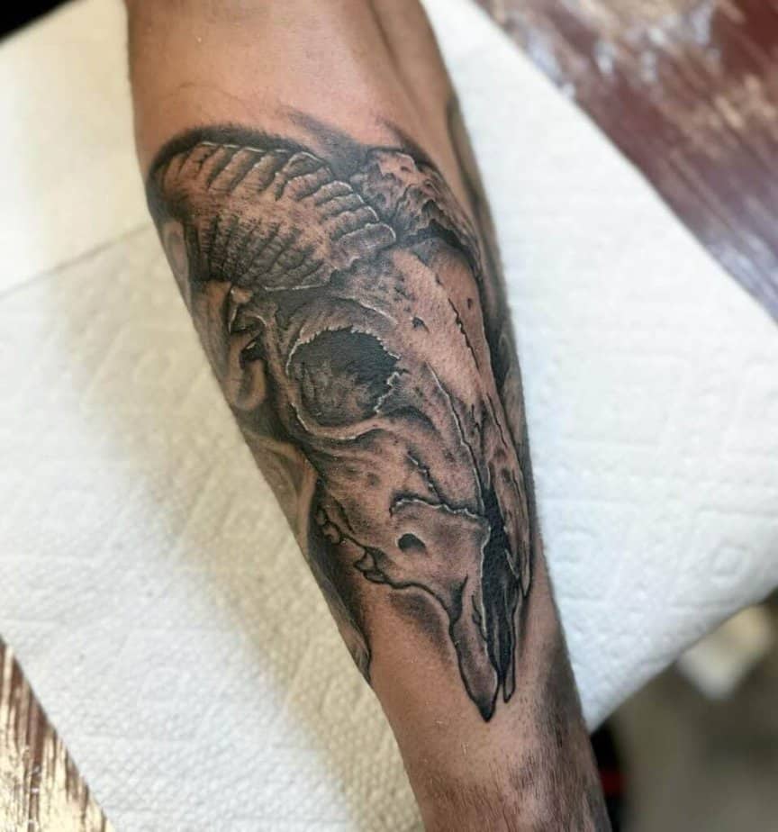 Inquietanti tatuaggi di capre