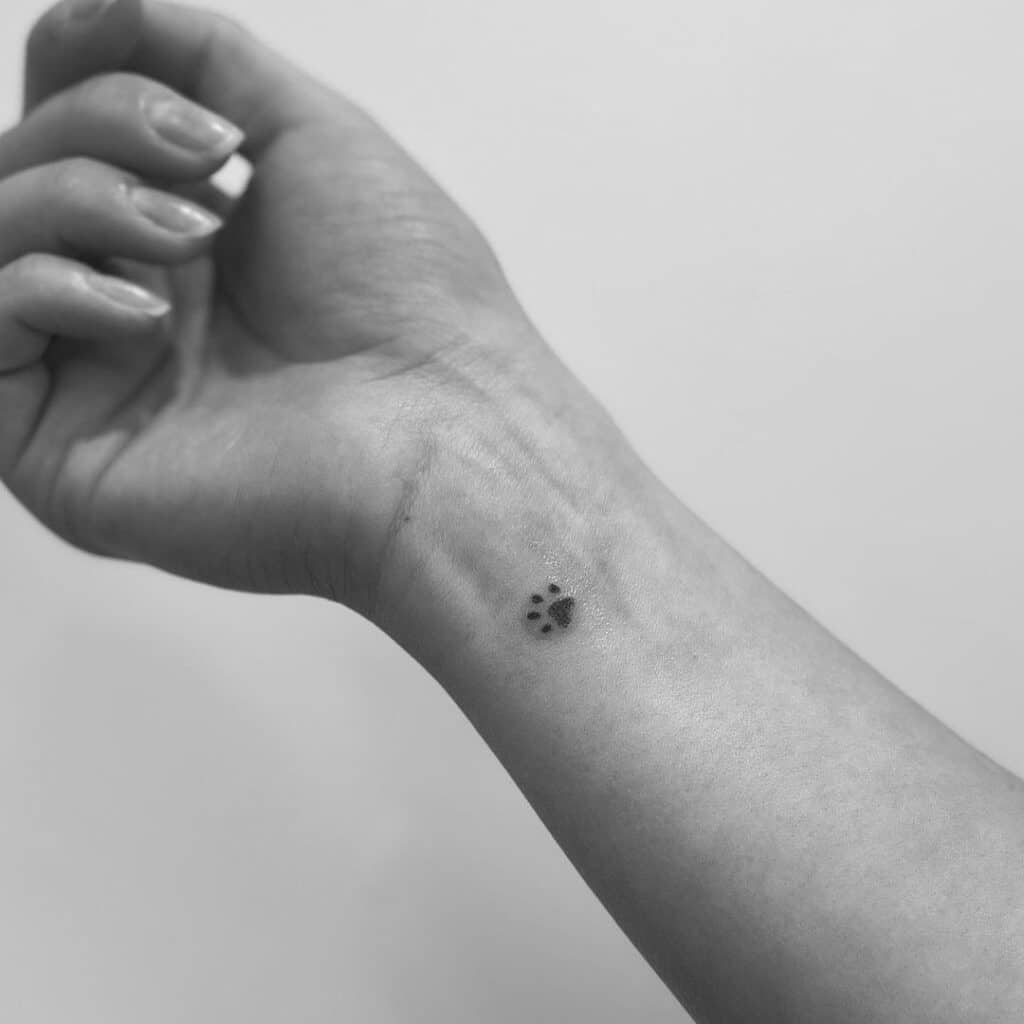 12. A tiny paw tattoo 