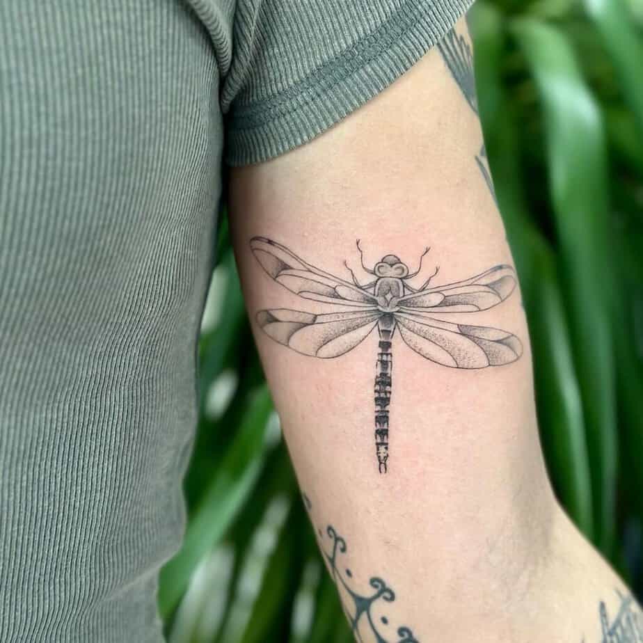 16. A tattoo of a dragonfly on the inside of the arm