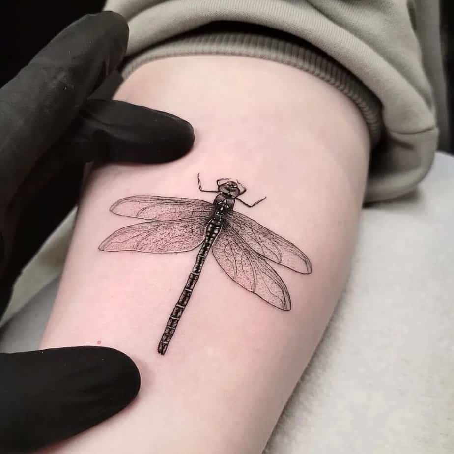 8. Tatuaggio di una libellula a linee sottili sull'avambraccio