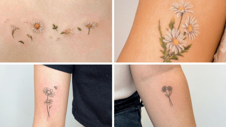 25 idee di tatuaggi con margherite delicate da salvare per trovare ispirazione.