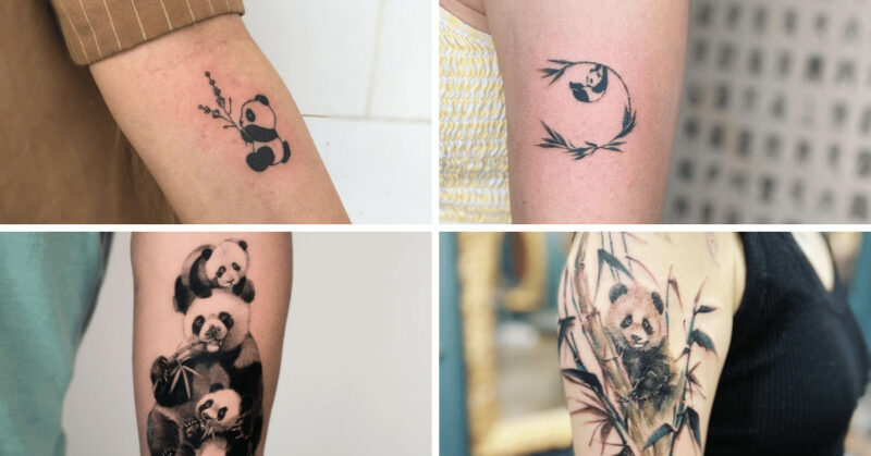 25 precious panda tattoos that are almost too cute