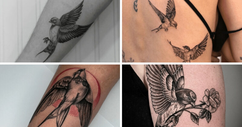 30 swallow tattoos designs that tell your story