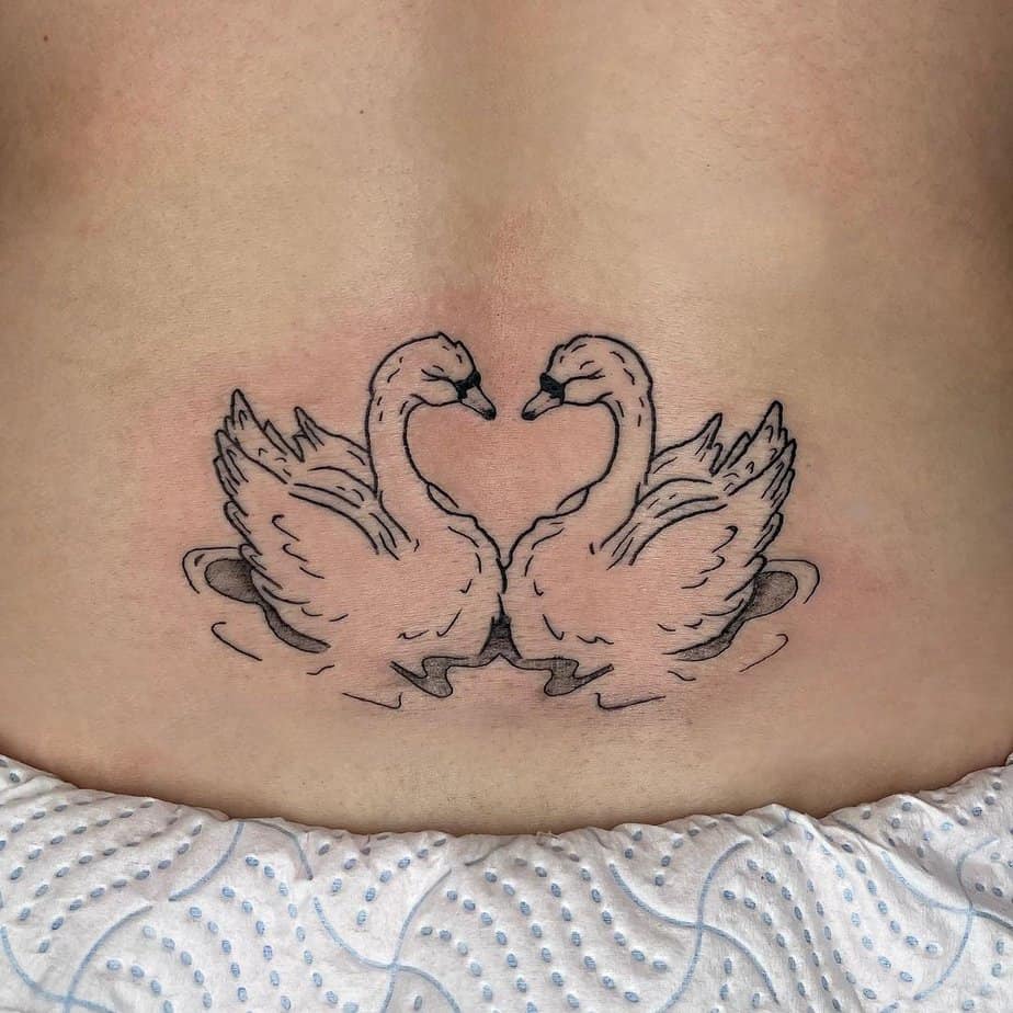 4. Swans in love
