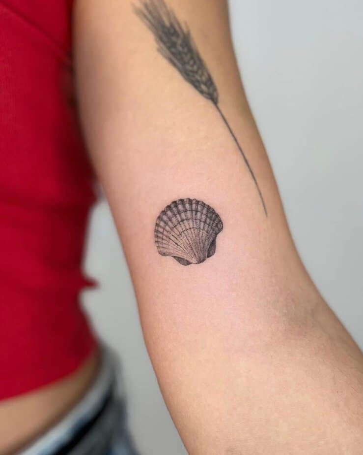 25. A cockle shell tattoo on the bicep
