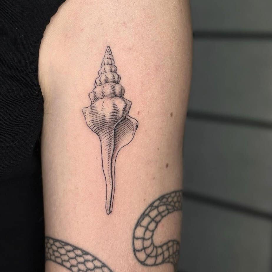 15. A conch shell tattoo on the arm
