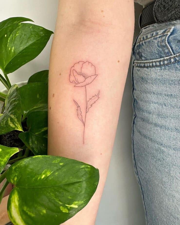 A poppy flower tattoo on the forearm