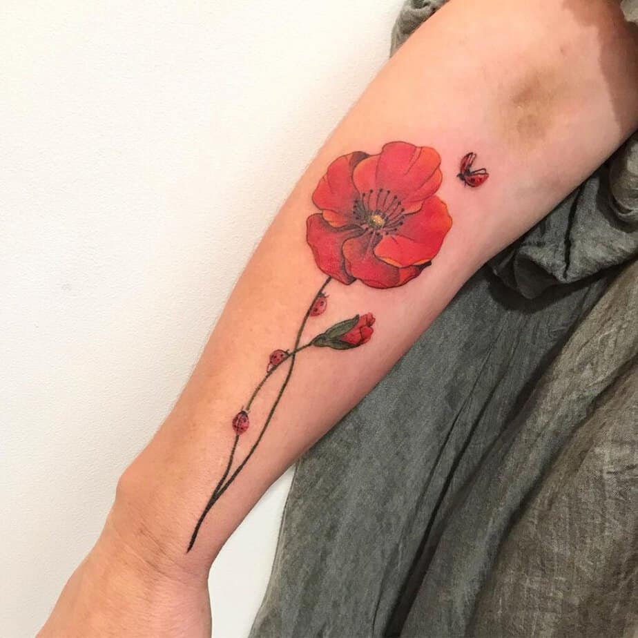 A tattoo of poppy flowers and ladybugs