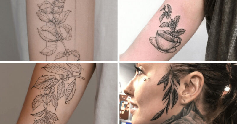 Coffee Plant Tattoo Designs