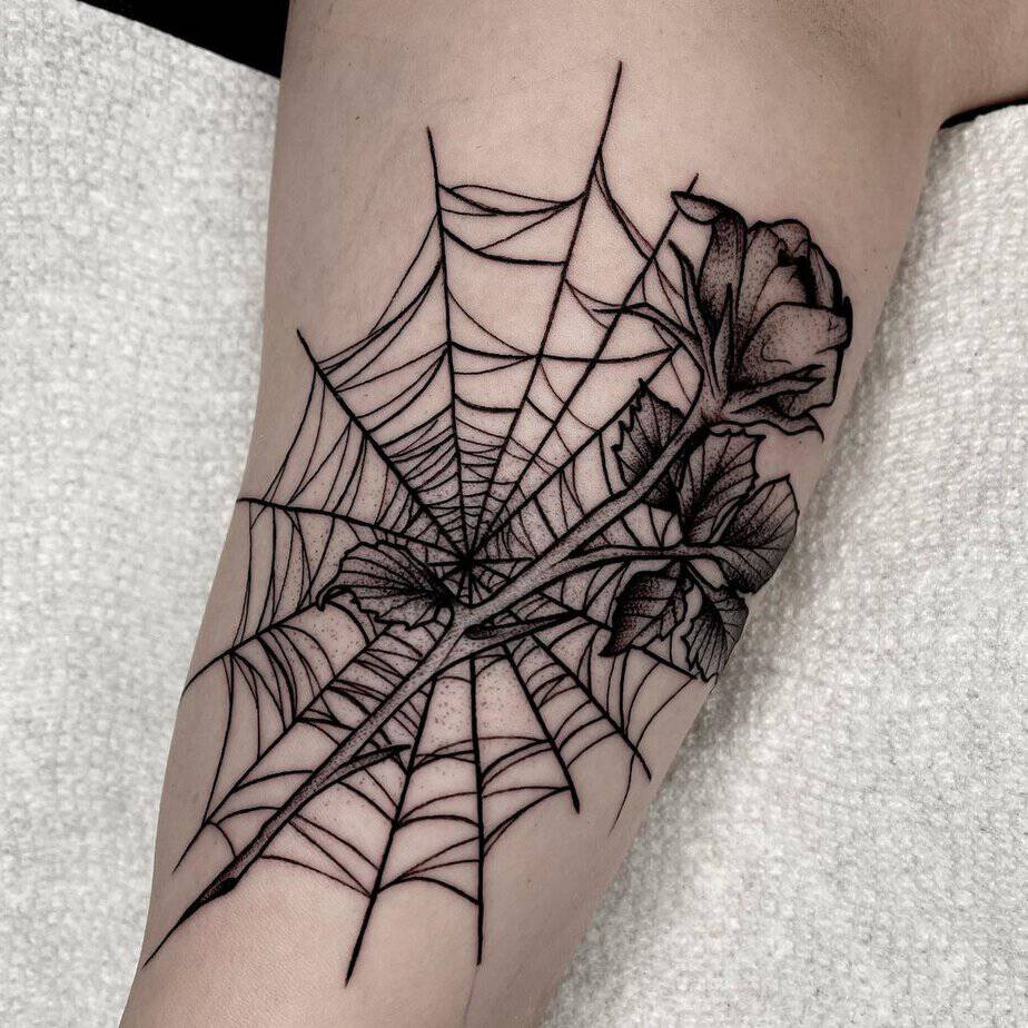 11. Spider web and a rose
