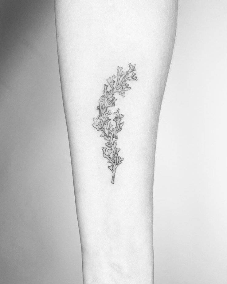 Simple coral tattoos