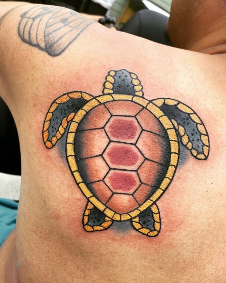 16. Colorful turtle