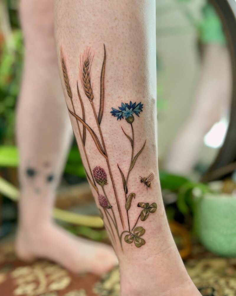 Blue cornflowers clover and barley