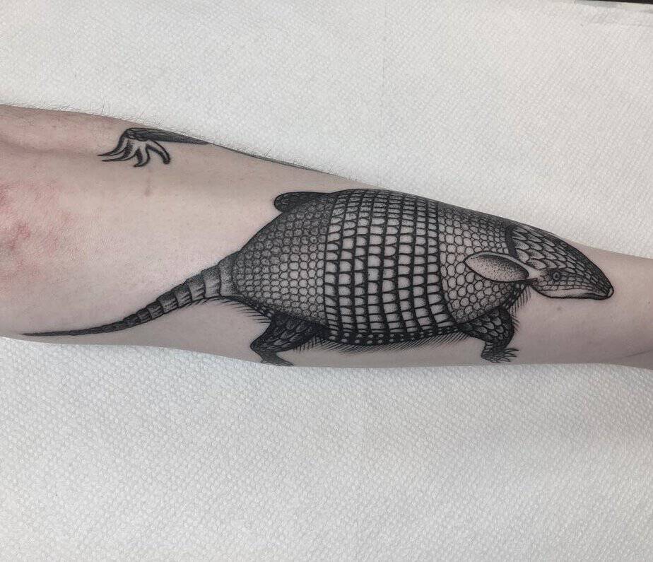 Intriguing armadillo tattoo