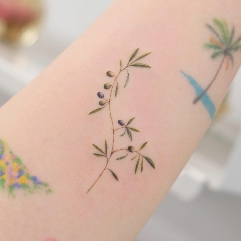 20 Creative Olive Tree Tattoo Ideas For Peace And Harmony
